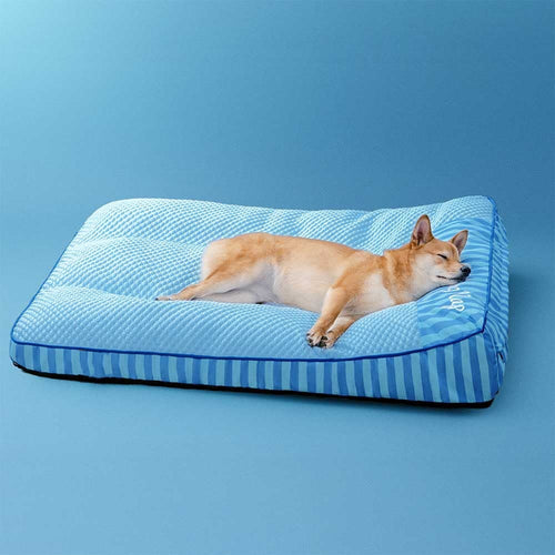 Chien Shiba installé sur le Lit Quiétou, la tête posée sur l'appui-tête